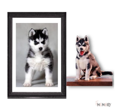 Customizable 3D Figure